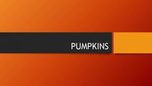 PUMPKINS What is a pumpkin Is pumpkin a