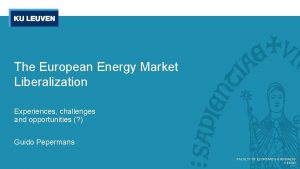 The European Energy Market Liberalization Experiences challenges and