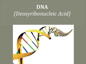 DNA Deoxyribonucleic Acid A HISTORY OF DNA Chargaff