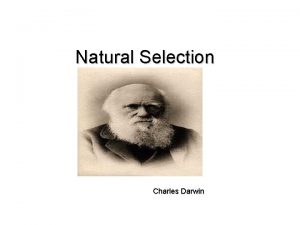 Natural Selection Charles Darwin What is Natural Selection