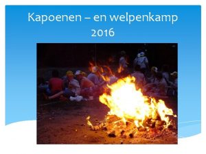 Kapoenen en welpenkamp 2016 Buitenlands kamp Dongen Nederland