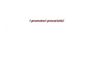 I promotori procariotici LaPribnow box nei promotori di