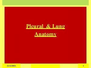 Pleural Lung Anatomy 12122021 1 The Pleural Cavity