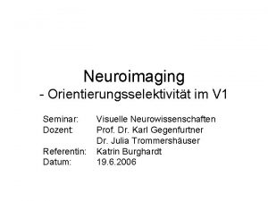 Neuroimaging Orientierungsselektivitt im V 1 Seminar Dozent Referentin