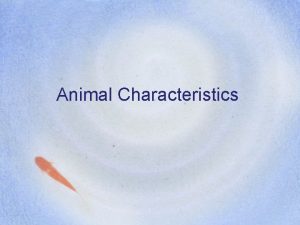 Animal Characteristics Animal Traits Multicellular Complex patterns of