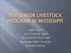 THE JUNIOR LIVESTOCK PROGRAM IN MISSISSIPPI Kipp Brown