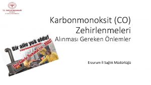 Karbonmonoksit CO Zehirlenmeleri Alnmas Gereken nlemler Erzurum l