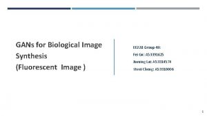 GANs for Biological Image Synthesis Fluorescent Image EE