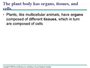 The plant body has organs tissues and cells