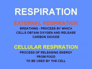 RESPIRATION EXTERNAL RESPIRATION BREATHING PROCESS BY WHICH CELLS