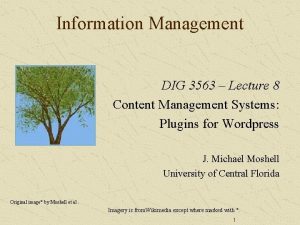 Information Management DIG 3563 Lecture 8 Content Management