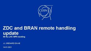 ZDC and BRAN remote handling update 98 HLLHC