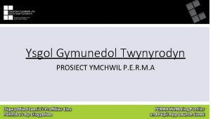Ysgol Gymunedol Twynyrodyn PROSIECT YMCHWIL P E R