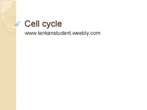 Cell cycle www lankanstudent weebly com DefinitionThe events