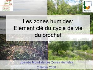 Les zones humides Elment cl du cycle de