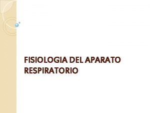 FISIOLOGIA DEL APARATO RESPIRATORIO VENTILACION Movimiento del aire