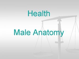 Health Male Anatomy The Scrotum n n n