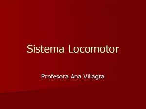 Sistema Locomotor Profesora Ana Villagra Sistema Locomotor n