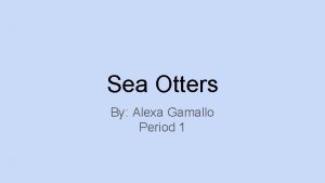 Sea Otters By Alexa Gamallo Period 1 Basic