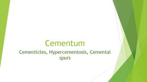 Cementum Cementicles Hypercementosis Cemental spurs Like the other