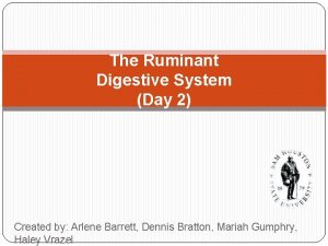 The Ruminant Digestive System Day 2 Created by