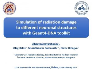 Simulation of radiation damage to different neuronal structures