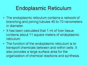 Endoplasmic Reticulum The endoplasmic reticulum contains a network