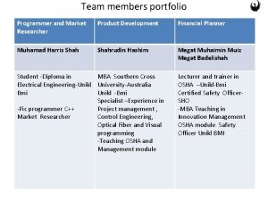 Team members portfolio Programmer and Market Researcher Product