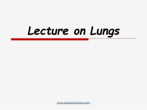 Lecture on Lungs www assignmentpoint com Lungs By