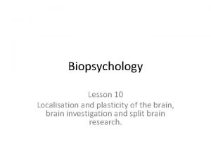 Biopsychology Lesson 10 Localisation and plasticity of the