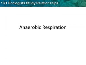 13 1 Ecologists Study Relationships Anaerobic Respiration Fermentation