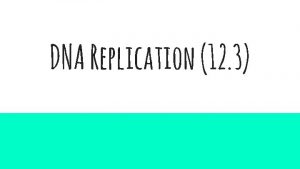 DNA Replication 12 3 Copying the Code DNA