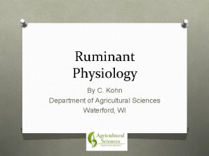 Ruminant Physiology By C Kohn Department of Agricultural