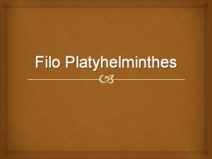 Filo Platyhelminthes Caractersticas gerais Vermes achatados Sistema digestrio