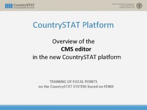 Country STAT Platform Overview of the CMS editor