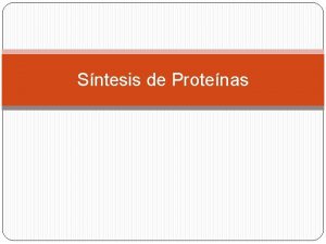 Sntesis de Protenas Protena Secuencia de aminocidos unidos