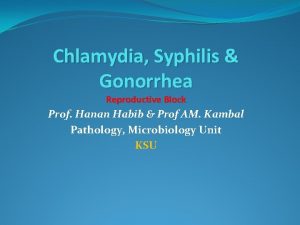 Chlamydia Syphilis Gonorrhea Reproductive Block Prof Hanan Habib