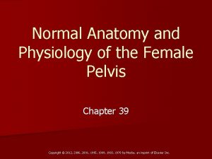 Normal Anatomy and Physiology of the Female Pelvis
