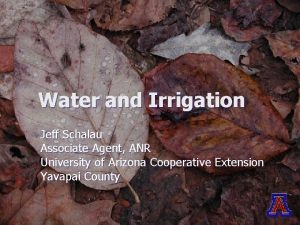 Water and Irrigation Jeff Schalau Associate Agent ANR