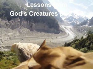 Lessons from Gods Creatures pt 2 3 Note