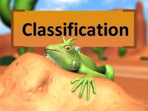 Classification What is Classification the arrangement of organisms