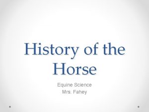 History of the Horse Equine Science Mrs Fahey