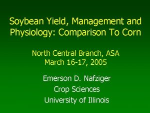 Soybean Yield Management and Physiology Comparison To Corn