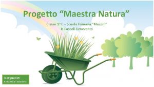 Progetto Maestra Natura Classe 1 a C Scuola