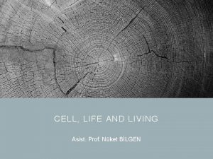 CELL LIFE AND LIVING Asist Prof Nket BLGEN