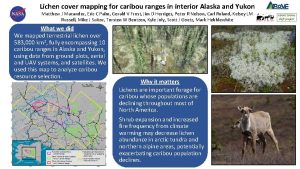 Lichen cover mapping for caribou ranges in interior