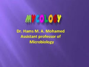 Dr Hams M A Mohamed Assistant professor of