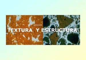 TEXTURA Y ESTRUCTURA TEXTURA Y ESTRUCTURA Textura Superficie