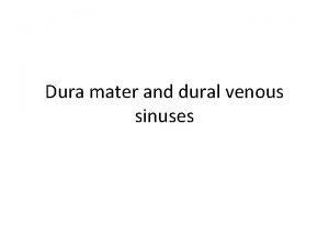 Dura mater and dural venous sinuses The Meninges