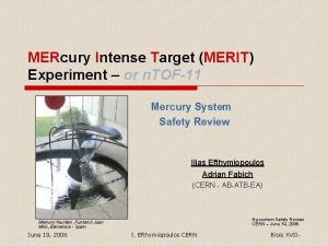 MERcury Intense Target MERIT Experiment or n TOF11